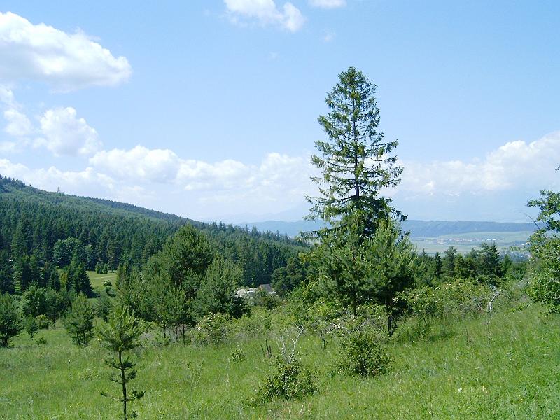 20120616 041.jpg